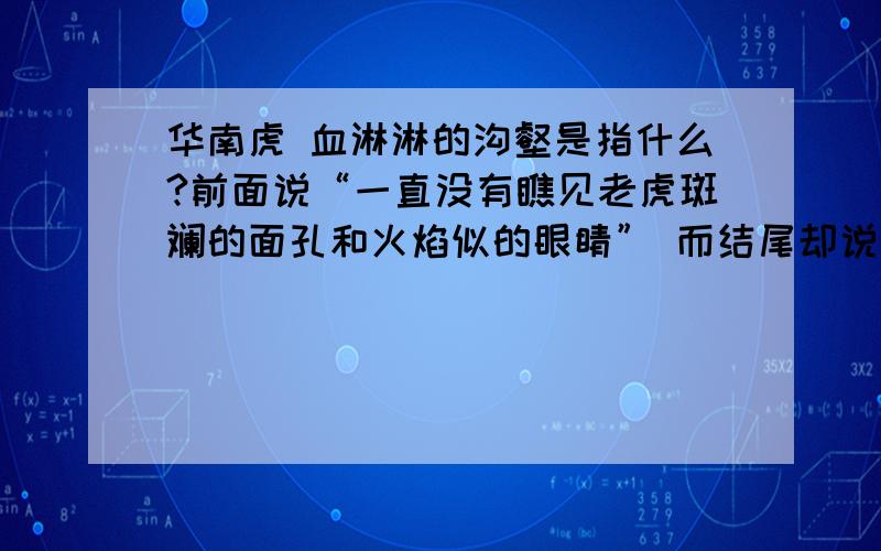 华南虎 血淋淋的沟壑是指什么?前面说“一直没有瞧见老虎斑斓的面孔和火焰似的眼睛” 而结尾却说“我看见了火焰似的斑纹和火焰似的眼睛” 这是为什么?