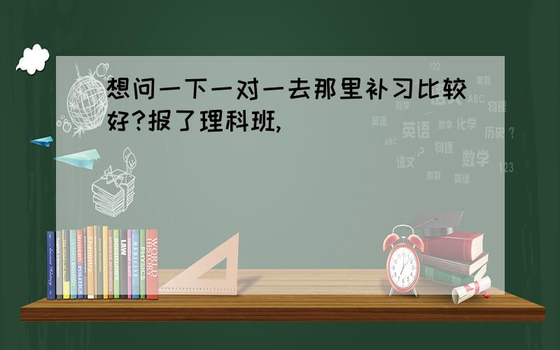 想问一下一对一去那里补习比较好?报了理科班,