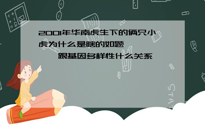 2001年华南虎生下的俩只小虎为什么是瞎的如题         跟基因多样性什么关系