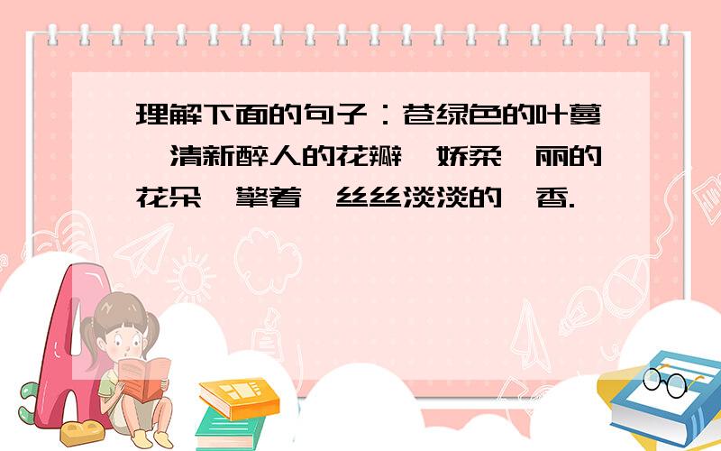 理解下面的句子：苍绿色的叶蔓,清新醉人的花瓣,娇柔倩丽的花朵,擎着一丝丝淡淡的馨香.