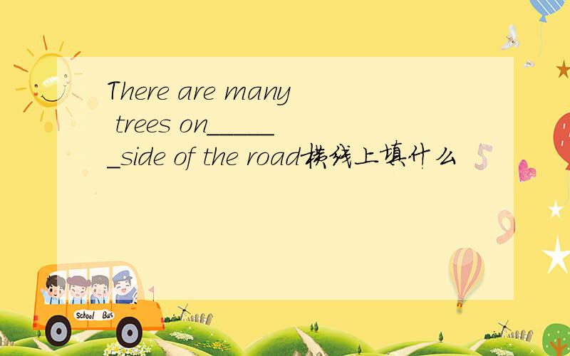 There are many trees on______side of the road横线上填什么