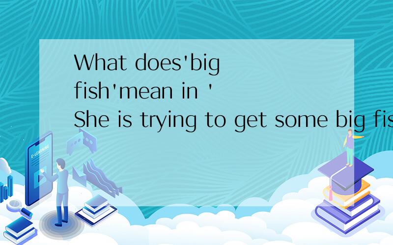 What does'big fish'mean in 'She is trying to get some big fish on board'?