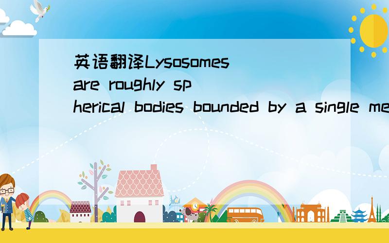 英语翻译Lysosomes are roughly spherical bodies bounded by a single membrane.They are manufactured by the Golgi apparatus (pathway 2 in the figure).They contain over 3 dozen different kinds of hydrolytic enzymes including * Proteases * Nucleases *