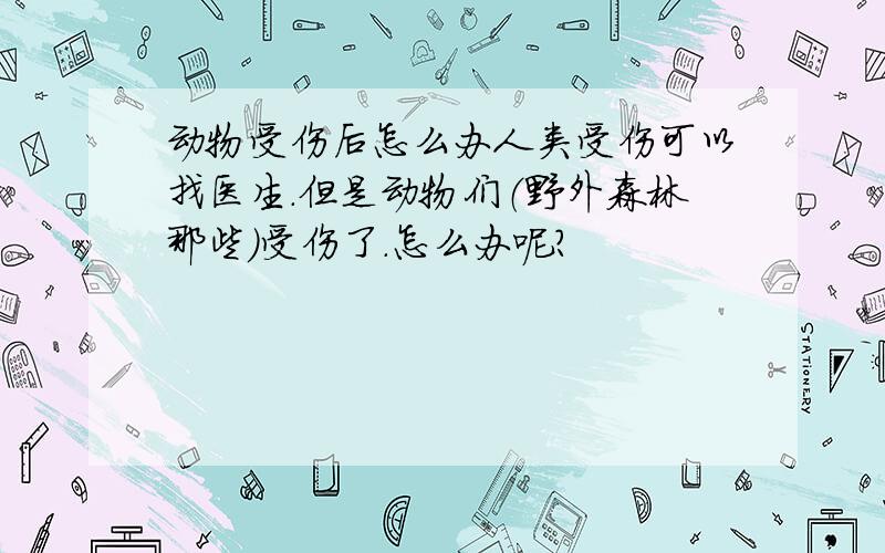 动物受伤后怎么办人类受伤可以找医生.但是动物们（野外森林那些）受伤了.怎么办呢?