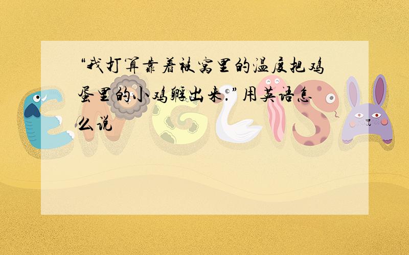 “我打算靠着被窝里的温度把鸡蛋里的小鸡孵出来.”用英语怎么说