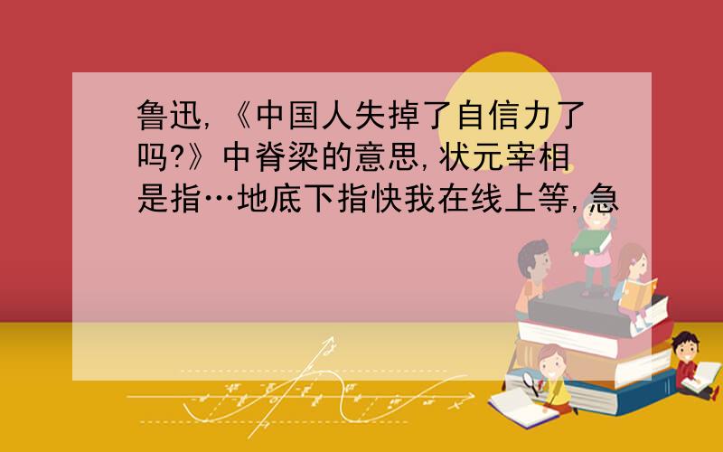 鲁迅,《中国人失掉了自信力了吗?》中脊梁的意思,状元宰相是指…地底下指快我在线上等,急