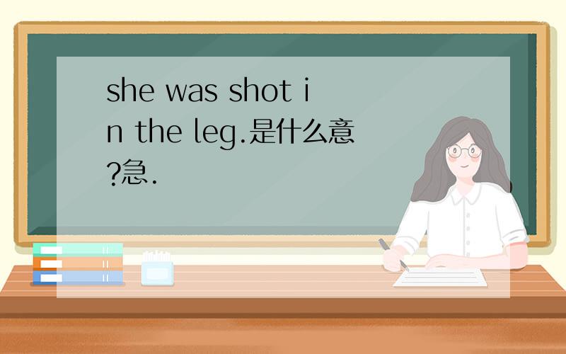 she was shot in the leg.是什么意?急.