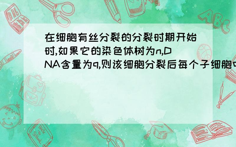 在细胞有丝分裂的分裂时期开始时,如果它的染色体树为n,DNA含量为q,则该细胞分裂后每个子细胞中的染色体数和DNA含量分别是( )A.n和q B.n/2和q/2 C.n和q/2 D.n/2和q但我觉得是A 因为DNA在间期数目加