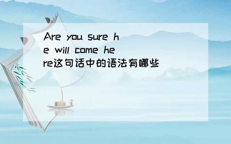 Are you sure he will come here这句话中的语法有哪些