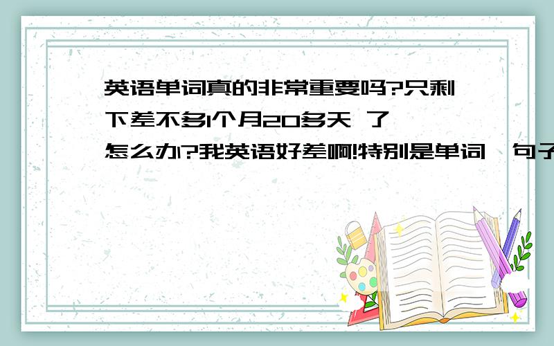 英语单词真的非常重要吗?只剩下差不多1个月20多天 了,怎么办?我英语好差啊!特别是单词,句子,这个2个好难背,也是我最讨厌的,很难背很难背,我都快急死了,而且不单单只有这2个,还有阅读理