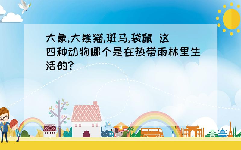 大象,大熊猫,斑马,袋鼠 这四种动物哪个是在热带雨林里生活的?