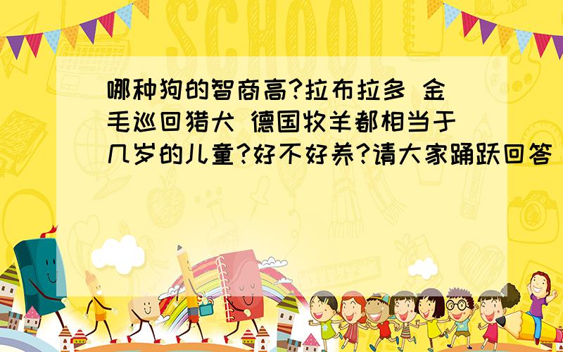 哪种狗的智商高?拉布拉多 金毛巡回猎犬 德国牧羊都相当于几岁的儿童?好不好养?请大家踊跃回答 但是我比较想知道它们相当于几岁的儿童的智商.