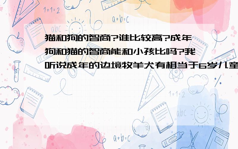 猫和狗的智商?谁比较高?成年狗和猫的智商能和小孩比吗?我听说成年的边境牧羊犬有相当于6岁儿童的智力.