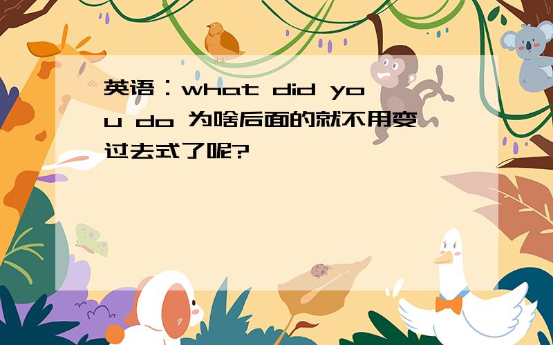 英语：what did you do 为啥后面的就不用变过去式了呢?