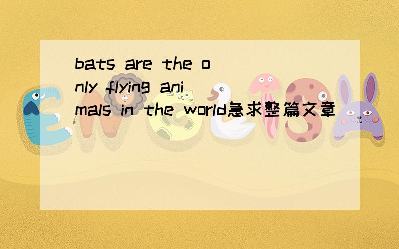 bats are the only flying animals in the world急求整篇文章