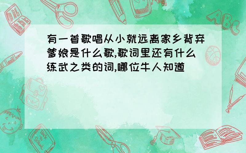 有一首歌唱从小就远离家乡背弃爹娘是什么歌,歌词里还有什么练武之类的词,哪位牛人知道