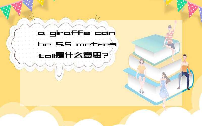 a giraffe can be 5.5 metres tall是什么意思?