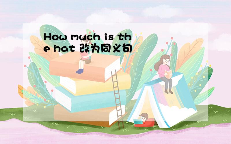 How much is the hat 改为同义句