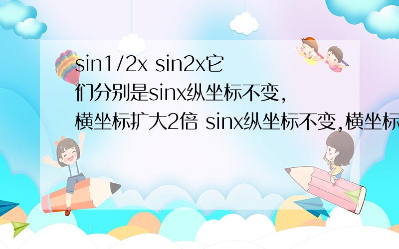 sin1/2x sin2x它们分别是sinx纵坐标不变,横坐标扩大2倍 sinx纵坐标不变,横坐标缩小到原来的1/2为什么扩大了2倍,但表达式反而是