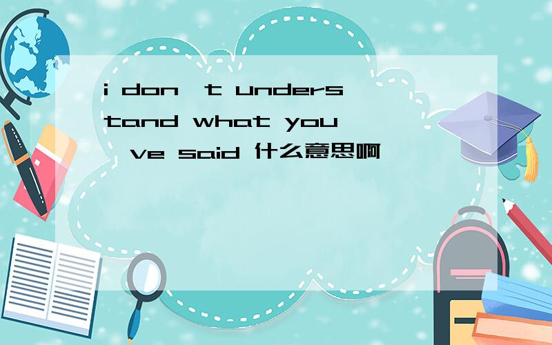 i don't understand what you 've said 什么意思啊