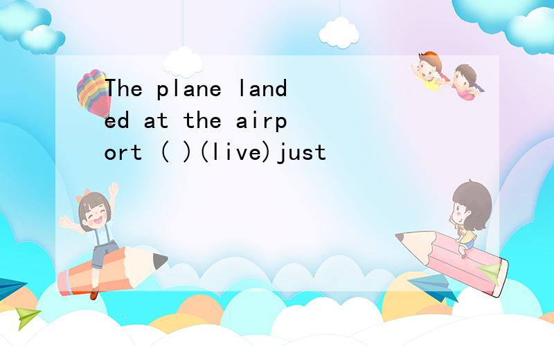 The plane landed at the airport ( )(live)just