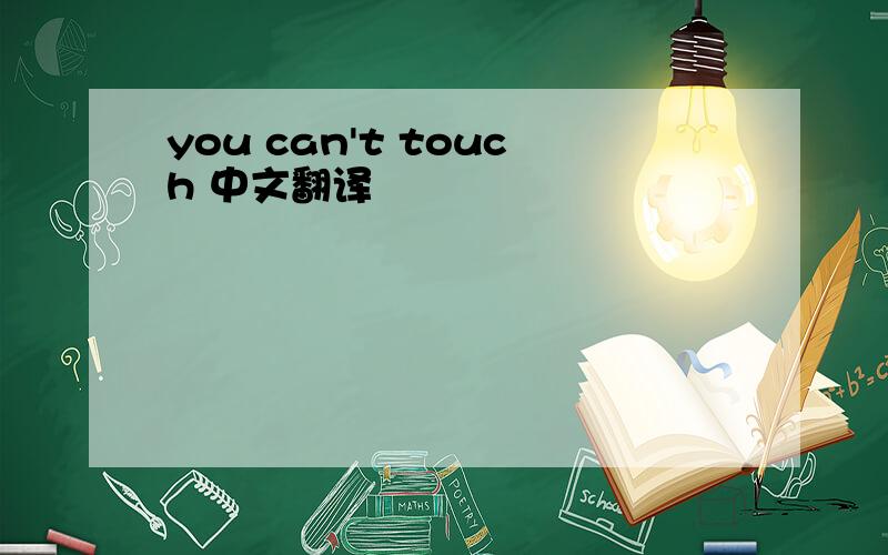 you can't touch 中文翻译