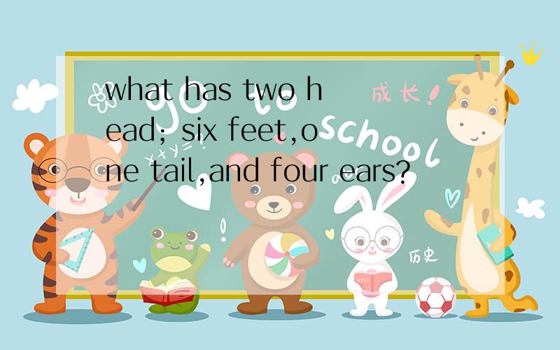 what has two head；six feet,one tail,and four ears?