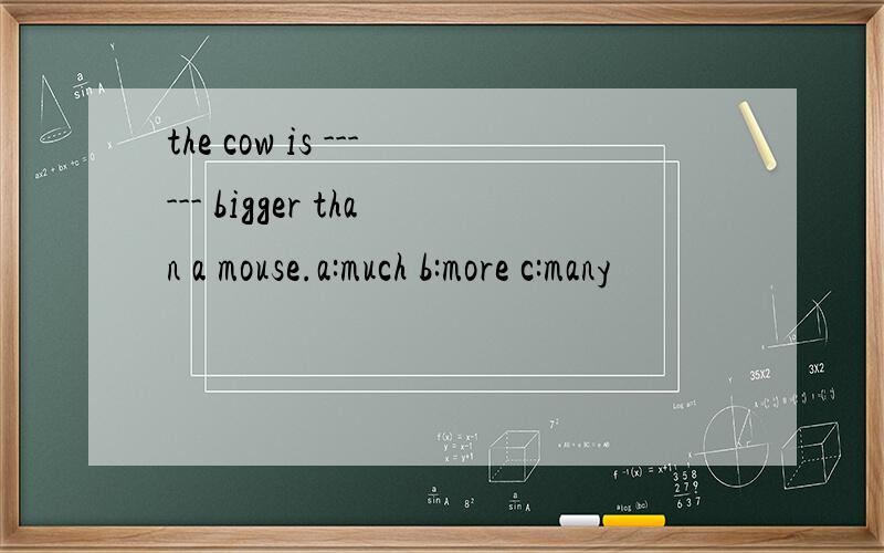the cow is ------ bigger than a mouse.a:much b:more c:many