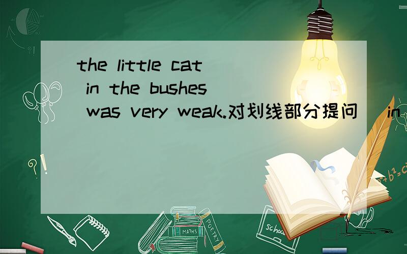 the little cat in the bushes was very weak.对划线部分提问 （in the bushes划线）