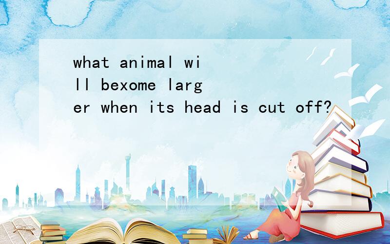 what animal will bexome larger when its head is cut off?