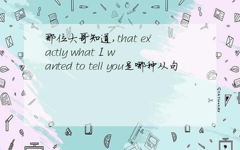 那位大哥知道,that exactly what I wanted to tell you是哪种从句