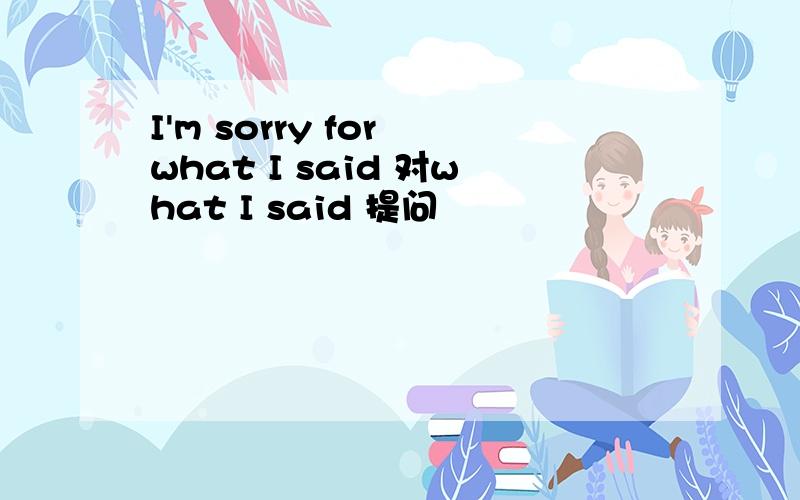 I'm sorry for what I said 对what I said 提问