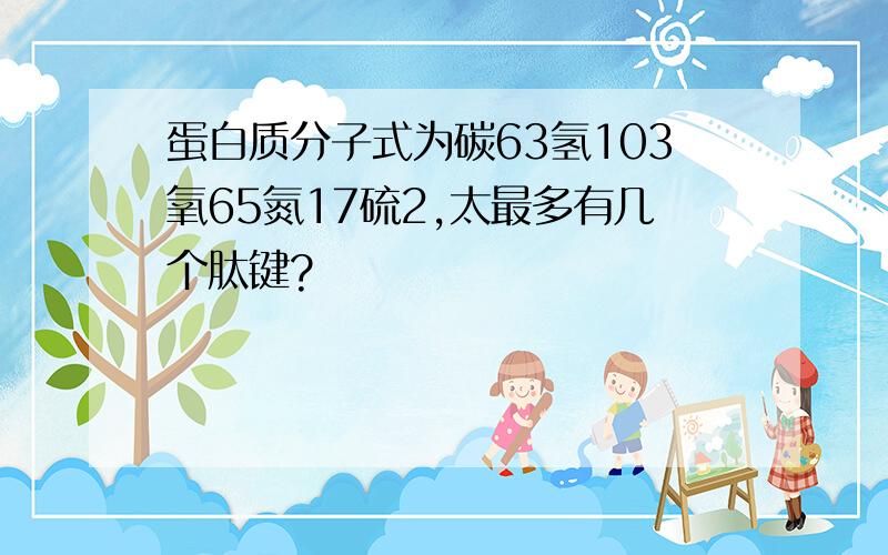 蛋白质分子式为碳63氢103氧65氮17硫2,太最多有几个肽键?