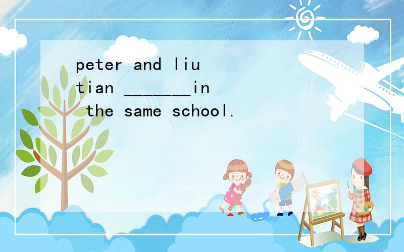 peter and liu tian _______in the same school.