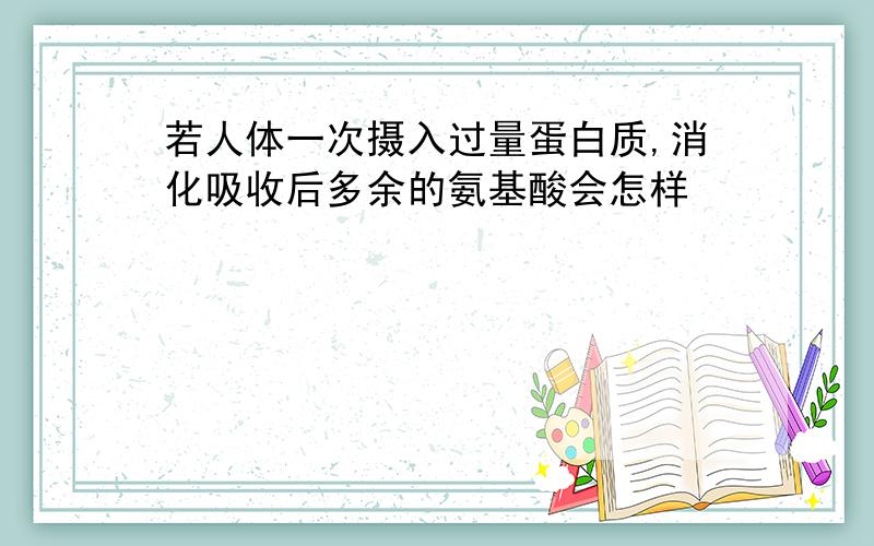 若人体一次摄入过量蛋白质,消化吸收后多余的氨基酸会怎样