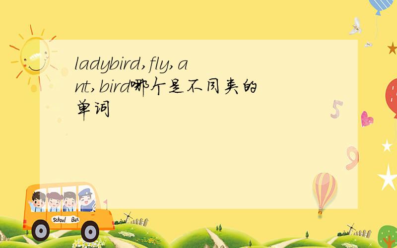 ladybird,fly,ant,bird哪个是不同类的单词