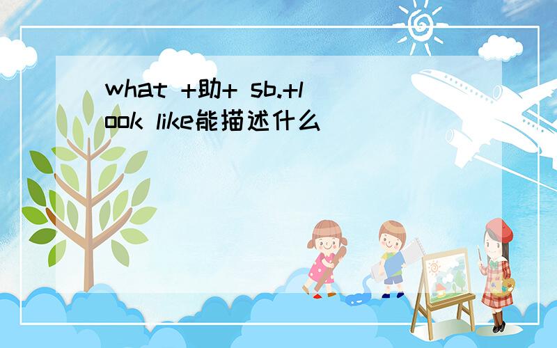 what +助+ sb.+look like能描述什么