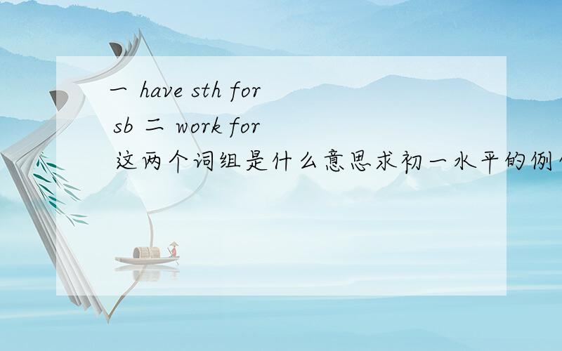 一 have sth for sb 二 work for 这两个词组是什么意思求初一水平的例句