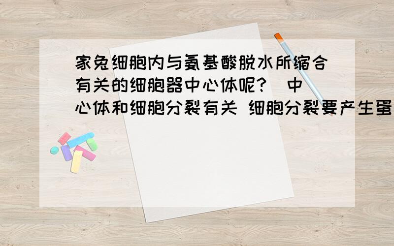 家兔细胞内与氨基酸脱水所缩合有关的细胞器中心体呢?  中心体和细胞分裂有关 细胞分裂要产生蛋白质啊?