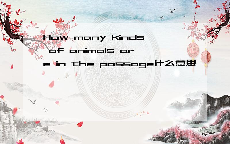 How many kinds of animals are in the passage什么意思