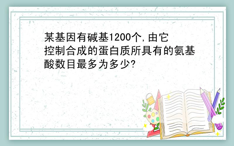 某基因有碱基1200个,由它控制合成的蛋白质所具有的氨基酸数目最多为多少?