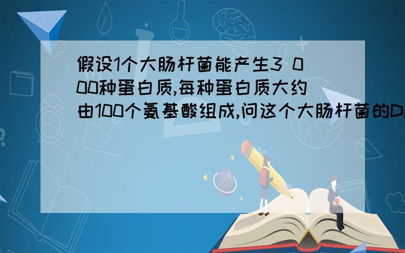 假设1个大肠杆菌能产生3 000种蛋白质,每种蛋白质大约由100个氨基酸组成,问这个大肠杆菌的DNA分子所含碱假设1个大肠杆菌能产生3000种蛋白质,每种蛋白质大约由100个氨基酸组成,问这个大肠杆