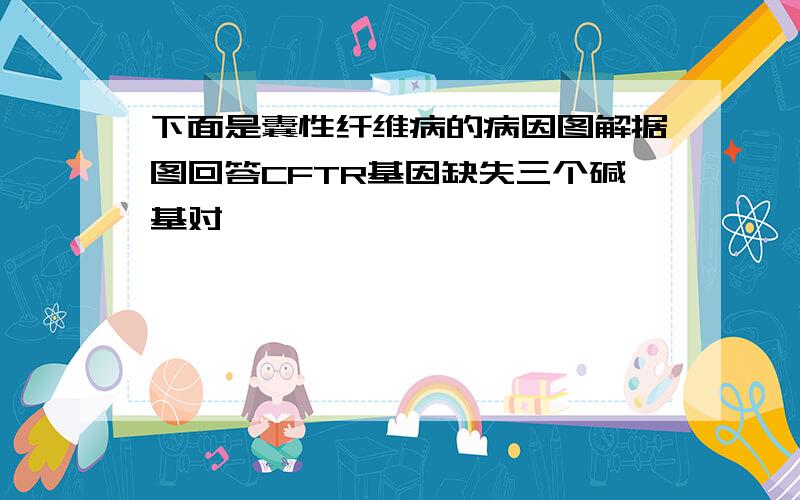 下面是囊性纤维病的病因图解据图回答CFTR基因缺失三个碱基对