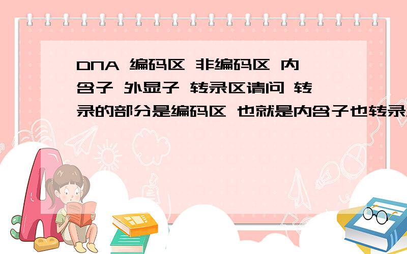 DNA 编码区 非编码区 内含子 外显子 转录区请问 转录的部分是编码区 也就是内含子也转录只不过转录后被剪切掉了 还是内含子根本不转路转录区指的确切的是DNA的哪个部分