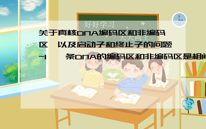 关于真核DNA编码区和非编码区,以及启动子和终止子的问题~1、一条DNA的编码区和非编码区是相间的?两端一定是非编码区?2、启动子在上游非编码区,就是第一个编码区吗?终止子就在最下游的