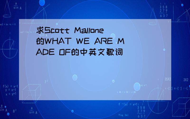 求Scott Mallone的WHAT WE ARE MADE OF的中英文歌词