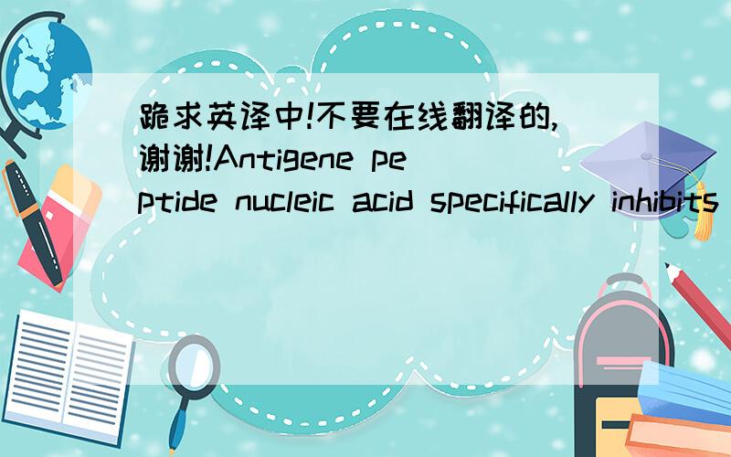 跪求英译中!不要在线翻译的,谢谢!Antigene peptide nucleic acid specifically inhibits MYCN expression in human neuroblastoma cells leading to cell growth inhibition and apoptosisRoberto Tonelli,Stefania Purgato,Consuelo Camerin,Raffaele Fr