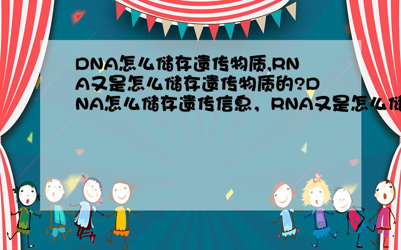 DNA怎么储存遗传物质,RNA又是怎么储存遗传物质的?DNA怎么储存遗传信息，RNA又是怎么储存遗传信息的？打错了......