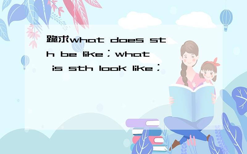 跪求what does sth be like；what is sth look like；