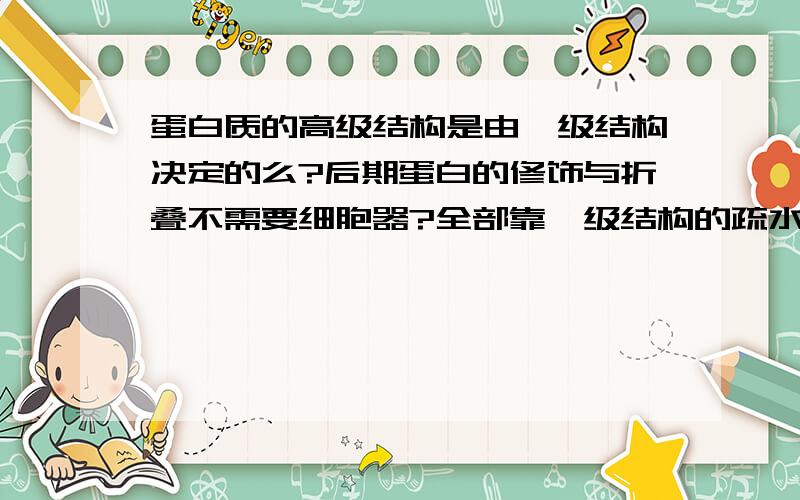 蛋白质的高级结构是由一级结构决定的么?后期蛋白的修饰与折叠不需要细胞器?全部靠一级结构的疏水作用之类的作用力么?